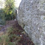 Strokestown Park House - repointing of stone walls